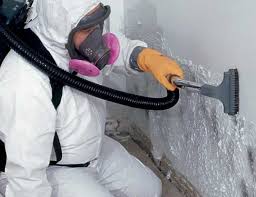 Professional Mold Inspection in Childersburg, AL